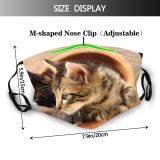 yanfind Felidae Sized Tabby Pot Happiness Prey Shorthair Carnivore Cat Short Whiskers Hunt Dust Washable Reusable Filter and Reusable Mouth Warm Windproof Cotton Face