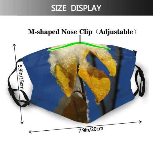 yanfind Drop Loaf Plant Twig Ice Stem Ice Winter Freezing Flower Dust Washable Reusable Filter and Reusable Mouth Warm Windproof Cotton Face