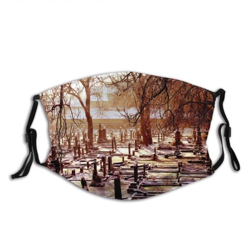 yanfind Winter December Morning Woody Graves Sky Reflection Branch Sunlight Tree Graveyard Trees Dust Washable Reusable Filter and Reusable Mouth Warm Windproof Cotton Face
