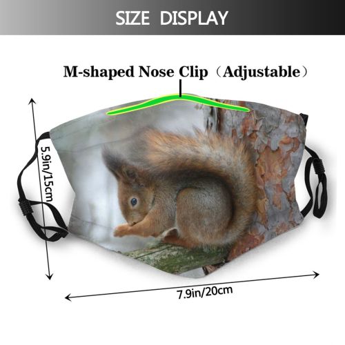 yanfind Winter Vertebrate Tail Squirrel Eurasian Fox Organism Tree Squirrel Tree Douglas' Fawn Dust Washable Reusable Filter and Reusable Mouth Warm Windproof Cotton Face