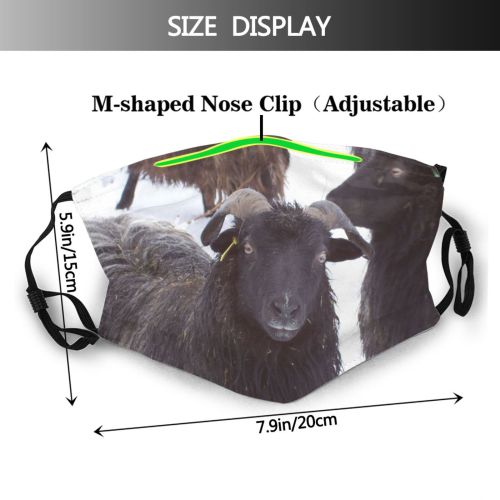 yanfind Winter Goat Goat Moorland Bovine Goats Cow Vertebrate Jumbuck Heidschnucke Horn Sheep Dust Washable Reusable Filter and Reusable Mouth Warm Windproof Cotton Face