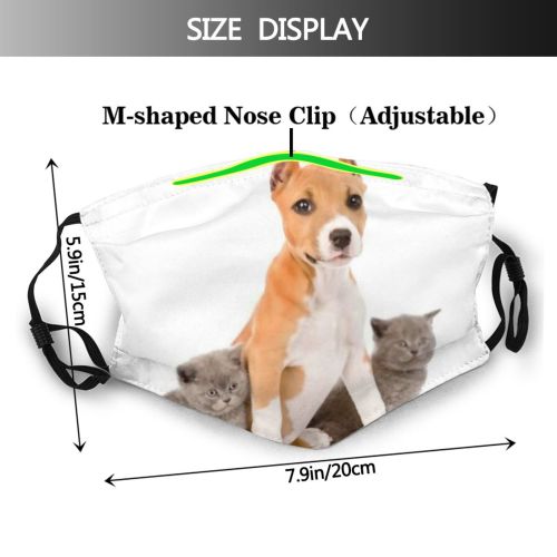 yanfind Isolated Lovely Young Relations Together Little Cat Kitty British Cute Relationship Newborn Dust Washable Reusable Filter and Reusable Mouth Warm Windproof Cotton Face