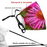 yanfind Plant Aster Bush Sky Flower Croatia China Flower Daisy Plant Ice Aster Dust Washable Reusable Filter and Reusable Mouth Warm Windproof Cotton Face