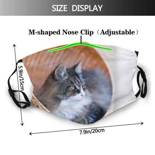 yanfind Comfortable Fur Meow Cat Cute Whiskers Resting Basket Cave Room Lion Relax Dust Washable Reusable Filter and Reusable Mouth Warm Windproof Cotton Face