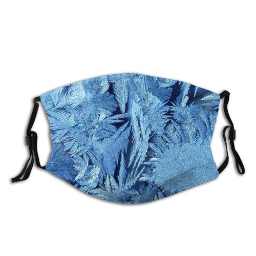 yanfind Winter Texture Plant Glass Ice Ice Frost Winter Freezing Dust Washable Reusable Filter and Reusable Mouth Warm Windproof Cotton Face