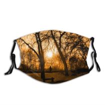 yanfind Sunset Sunlight Landscape Sky Tree Branch Morning Natural Light Evening Dust Washable Reusable Filter and Reusable Mouth Warm Windproof Cotton Face