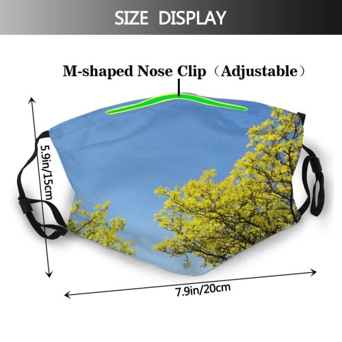 yanfind Spring Sky Spring Woody Leaves Landscape Sky Plant Light Branch Life Flower Dust Washable Reusable Filter and Reusable Mouth Warm Windproof Cotton Face
