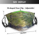 yanfind General Wishes Natural Atmospheric Woody Landscape Leaf Tree Forest Autumn Road Walpaper Dust Washable Reusable Filter and Reusable Mouth Warm Windproof Cotton Face