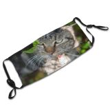 yanfind Pet Lovely Cats Cat Shorthair Americanshorthair Short Dust Washable Reusable Filter and Reusable Mouth Warm Windproof Cotton Face