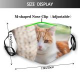 yanfind Garden Wicker Fur Young Tiles Striped Cat Kitty Cute Shorthair Big Basket Dust Washable Reusable Filter and Reusable Mouth Warm Windproof Cotton Face