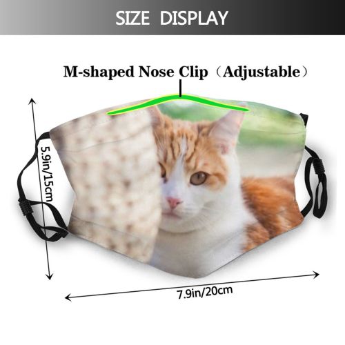yanfind Garden Wicker Fur Young Tiles Striped Cat Kitty Cute Shorthair Big Basket Dust Washable Reusable Filter and Reusable Mouth Warm Windproof Cotton Face