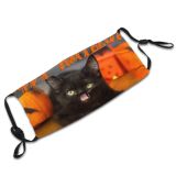 yanfind Calligraphy Candy Halloween Cat Kitty Licking Yummy Bucket Fear Lantern Bats Autumn Dust Washable Reusable Filter and Reusable Mouth Warm Windproof Cotton Face