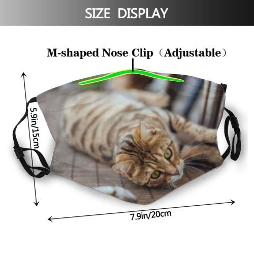 yanfind Garden Lovely Shocked Fur Tired Cat Precise Cure Relaxed Big Nose Eating Dust Washable Reusable Filter and Reusable Mouth Warm Windproof Cotton Face