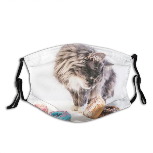 yanfind Isolated Congratulation Lovely Cat Cookie Clinic Cute Doughnut Vet Colorful Calories Sugar Dust Washable Reusable Filter and Reusable Mouth Warm Windproof Cotton Face