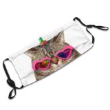 yanfind Isolated Rainbow Romance Cat Shaped Cute Fantasy Enamored Caticorn Magic Glasses Humor Dust Washable Reusable Filter and Reusable Mouth Warm Windproof Cotton Face