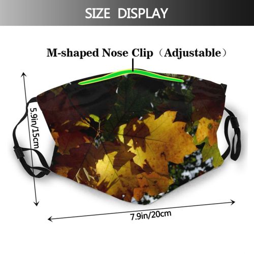 yanfind Maple Autumn Woody Maple Plant Fall Sky Wood Plane Leaf Forest Leaf Dust Washable Reusable Filter and Reusable Mouth Warm Windproof Cotton Face