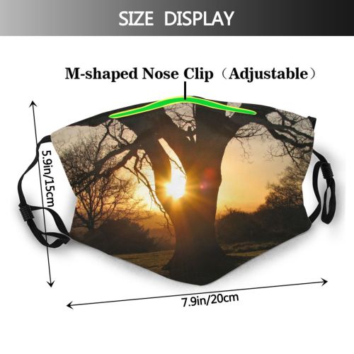 yanfind Morning Natural Atmospheric Sun Autumn Branch Sunset Landscape Sky Branch Tree Tree Dust Washable Reusable Filter and Reusable Mouth Warm Windproof Cotton Face