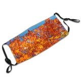 yanfind Temperate Maple Autumn Woody Leaves Plant Fall Broadleaf Flower Forest Leaf Hardwood Dust Washable Reusable Filter and Reusable Mouth Warm Windproof Cotton Face