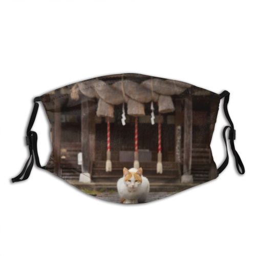yanfind Fukunokami Asian Japanese Jinja Road Shintoism Young Cat Kitty Cute Iyoshi Jinjya Dust Washable Reusable Filter and Reusable Mouth Warm Windproof Cotton Face