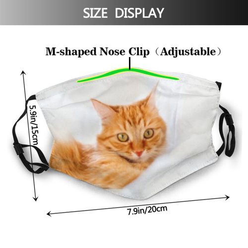yanfind Crazy Comfort Fur Bed Cat Kitty Cute Cozy Interior Ginger Relax Settle Dust Washable Reusable Filter and Reusable Mouth Warm Windproof Cotton Face