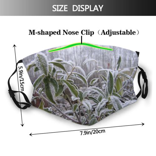 yanfind Winter Flower Frost Winter Subshrub Buddleia Plant Flower Flowering Leaf Leaf Frost Dust Washable Reusable Filter and Reusable Mouth Warm Windproof Cotton Face