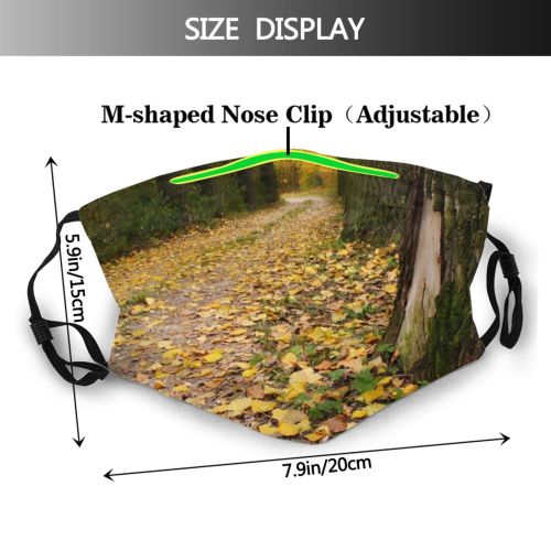 yanfind Natural Autumn Leaves Landscape Leaf Forest Leaf Tree Poland Trunk Autumn Forest Dust Washable Reusable Filter and Reusable Mouth Warm Windproof Cotton Face