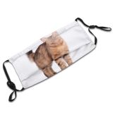 yanfind Lovely Russian Fur Young Little Cat Kitty Cute Striped Kittens Beautiful Pretty Dust Washable Reusable Filter and Reusable Mouth Warm Windproof Cotton Face