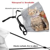 yanfind Isolated Whisker Fur Life Young Little Cat Kitty British Cute Real Active Dust Washable Reusable Filter and Reusable Mouth Warm Windproof Cotton Face