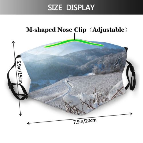 yanfind Ridge Swiss Winter Vineyards Snowy Slope Winter Mountain Sky Hills Snow Vines Dust Washable Reusable Filter and Reusable Mouth Warm Windproof Cotton Face