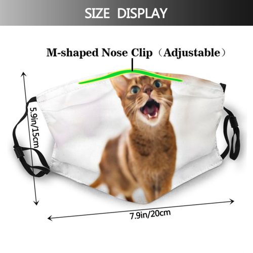 yanfind Bedroom Happiness Fur Livingroom Bed Little Cat Kitty Cute Abyssin Resting Cozy Dust Washable Reusable Filter and Reusable Mouth Warm Windproof Cotton Face