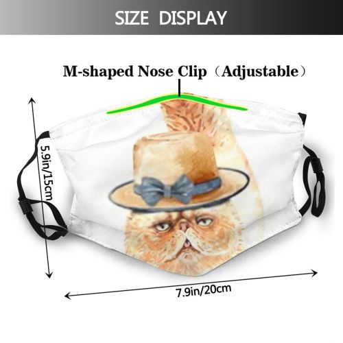yanfind Isolated Fur Faithful Meow Cat Kitty Cute Box Friendly Muzzle Clipping Biology Dust Washable Reusable Filter and Reusable Mouth Warm Windproof Cotton Face