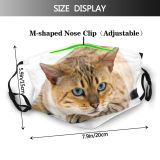 yanfind Cat Seal Bengal Sight Shot Pet Studio Tabby Felidae Indoor Eye Photo Dust Washable Reusable Filter and Reusable Mouth Warm Windproof Cotton Face