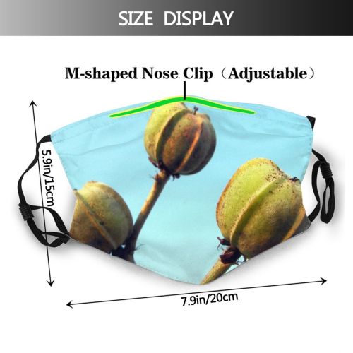 yanfind Sky Stem Fruit Ecology Plant Flower Fruit Tree Tree Noronha Wind Plant Dust Washable Reusable Filter and Reusable Mouth Warm Windproof Cotton Face