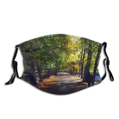 yanfind Deciduous Leaf Sunlight Landscape Leaf Tree Tree Stockholm Light Natural Autumn Autumn Dust Washable Reusable Filter and Reusable Mouth Warm Windproof Cotton Face
