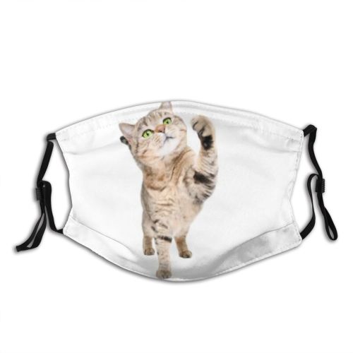 yanfind Attractive Isolated Fur Little Cat Kitty British Cute Straight Striped Frolicsome Pedigreed Dust Washable Reusable Filter and Reusable Mouth Warm Windproof Cotton Face