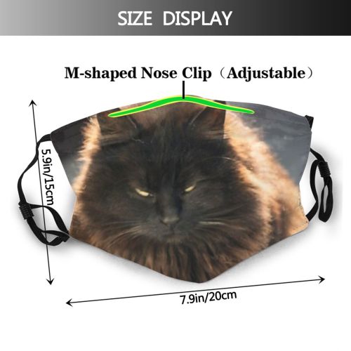 yanfind Isolated Whisker Fur Lookingatcamera Cat Kitty Cute Nose Muzzle Focusonforeground Window Macro Dust Washable Reusable Filter and Reusable Mouth Warm Windproof Cotton Face