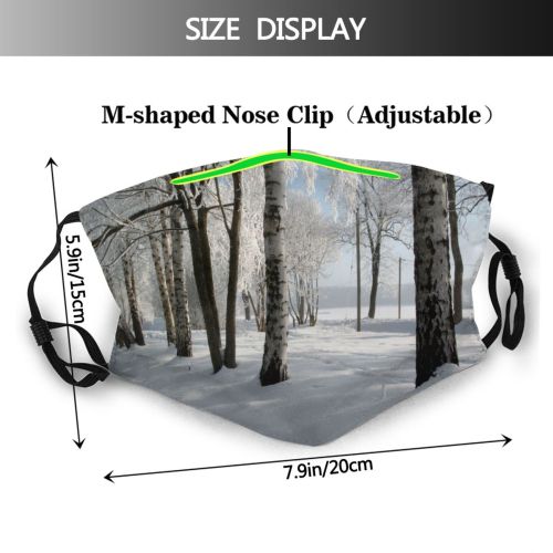 yanfind Winter Winter Natural Atmospheric Landscape Sky Branch Snow Tree Tree Trees Freezing Dust Washable Reusable Filter and Reusable Mouth Warm Windproof Cotton Face