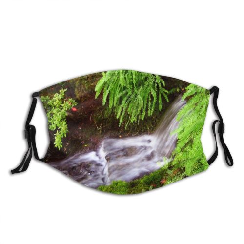 yanfind Garden Waterfall Japanese Resources Stream Landscape Vegetation Plants Stream Natural Detail Watercourse   Dust Washable Reusable Filter and Reusable Mouth Warm Windproof Cotton Face