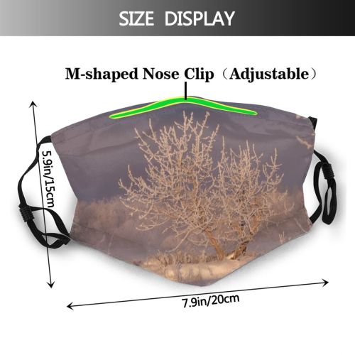 yanfind Winter Frost Winter Atmospheric Sun Sky Branch Snow Saskatchewan Twig Tree Tree Dust Washable Reusable Filter and Reusable Mouth Warm Windproof Cotton Face