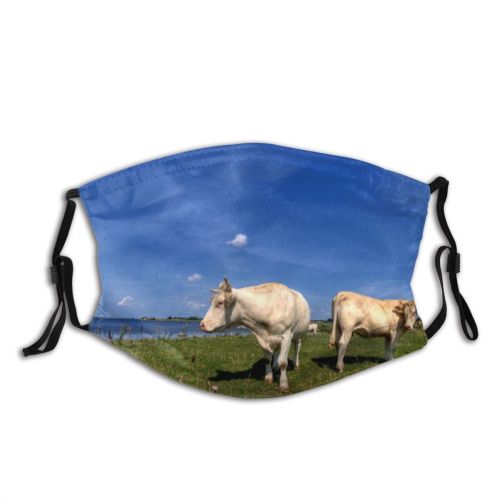 yanfind Grazing HDR Scenery Natural Cloud Landscape Sea Cattle Sky Bovine Meadow Pasture Dust Washable Reusable Filter and Reusable Mouth Warm Windproof Cotton Face