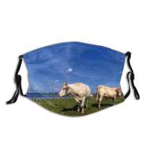 yanfind Grazing HDR Scenery Natural Cloud Landscape Sea Cattle Sky Bovine Meadow Pasture Dust Washable Reusable Filter and Reusable Mouth Warm Windproof Cotton Face