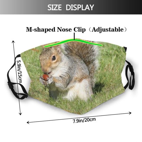yanfind Ground Fox Squirrel Fur Terrestrial Squirrels Wildlife Rodent Squirrels Snout Grey Autumn Dust Washable Reusable Filter and Reusable Mouth Warm Windproof Cotton Face