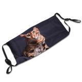 yanfind Fur Young Cat Kitty Cute Bengal Beautiful Pet Studio Tabby Portrait Dark Dust Washable Reusable Filter and Reusable Mouth Warm Windproof Cotton Face