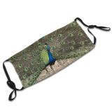 yanfind Plumage Tail Bird Peafowl Bird Organism Feathers Tree Phasianidae Galliformes Peacock Wildlife Dust Washable Reusable Filter and Reusable Mouth Warm Windproof Cotton Face