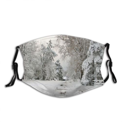 yanfind Winter Heritage Winter Natural Atmospheric Landscape Branch Snow Olsztynek Tree Tree Poland Dust Washable Reusable Filter and Reusable Mouth Warm Windproof Cotton Face