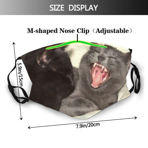 yanfind Emotions Pet Mouth Tongue Fluffy Kitten Teeth Cats Young Cat Kitty Screams Dust Washable Reusable Filter and Reusable Mouth Warm Windproof Cotton Face