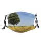 yanfind Field Landscape Grassland Field Summer Plant Natural Crop Agriculture Family Sky Tree Dust Washable Reusable Filter and Reusable Mouth Warm Windproof Cotton Face
