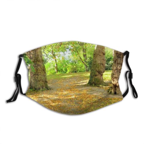 yanfind Dead Bushes Natural Autumn Woody Leaves Landscape Plant Wood Forest Leaf Tree Dust Washable Reusable Filter and Reusable Mouth Warm Windproof Cotton Face