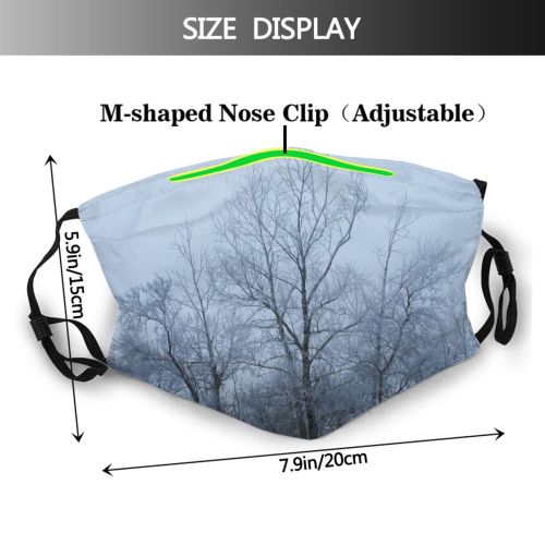 yanfind Winter Frost Dusk Natural Winter Atmospheric Branches Woody Landscape Sky Plant Branch Dust Washable Reusable Filter and Reusable Mouth Warm Windproof Cotton Face