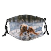 yanfind Charles Playing Estonia Moving Royal Spaniel King Snow Thoroughbred Cavalry Sky Below Dust Washable Reusable Filter and Reusable Mouth Warm Windproof Cotton Face